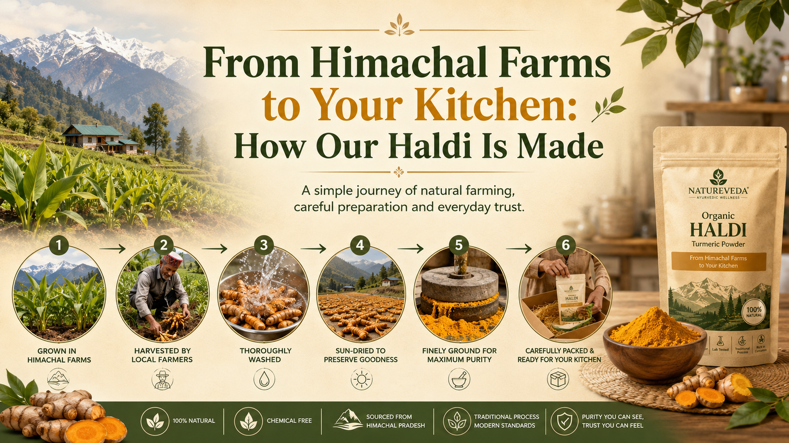 From Himachal Farms to Your Kitchen: How Our Haldi Is Made image