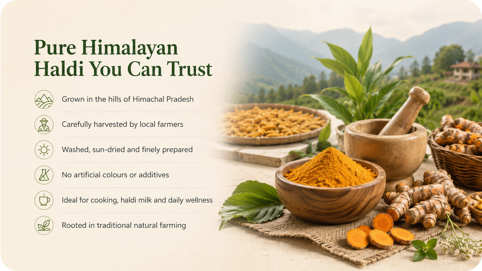Swran Vadic wellness banner