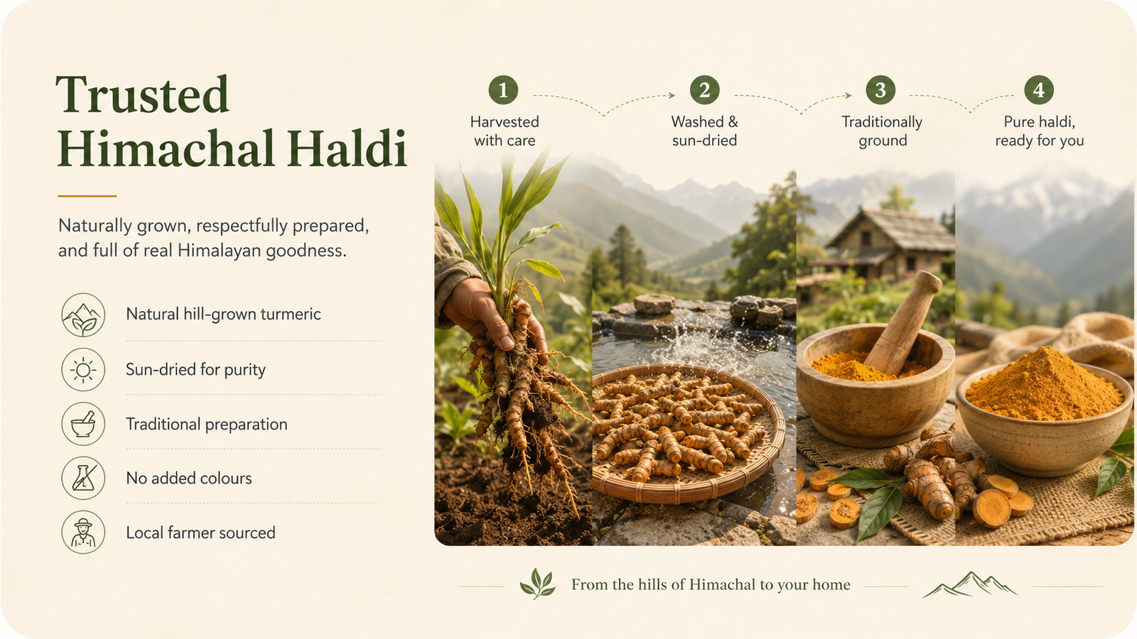Swran Vadic wellness banner