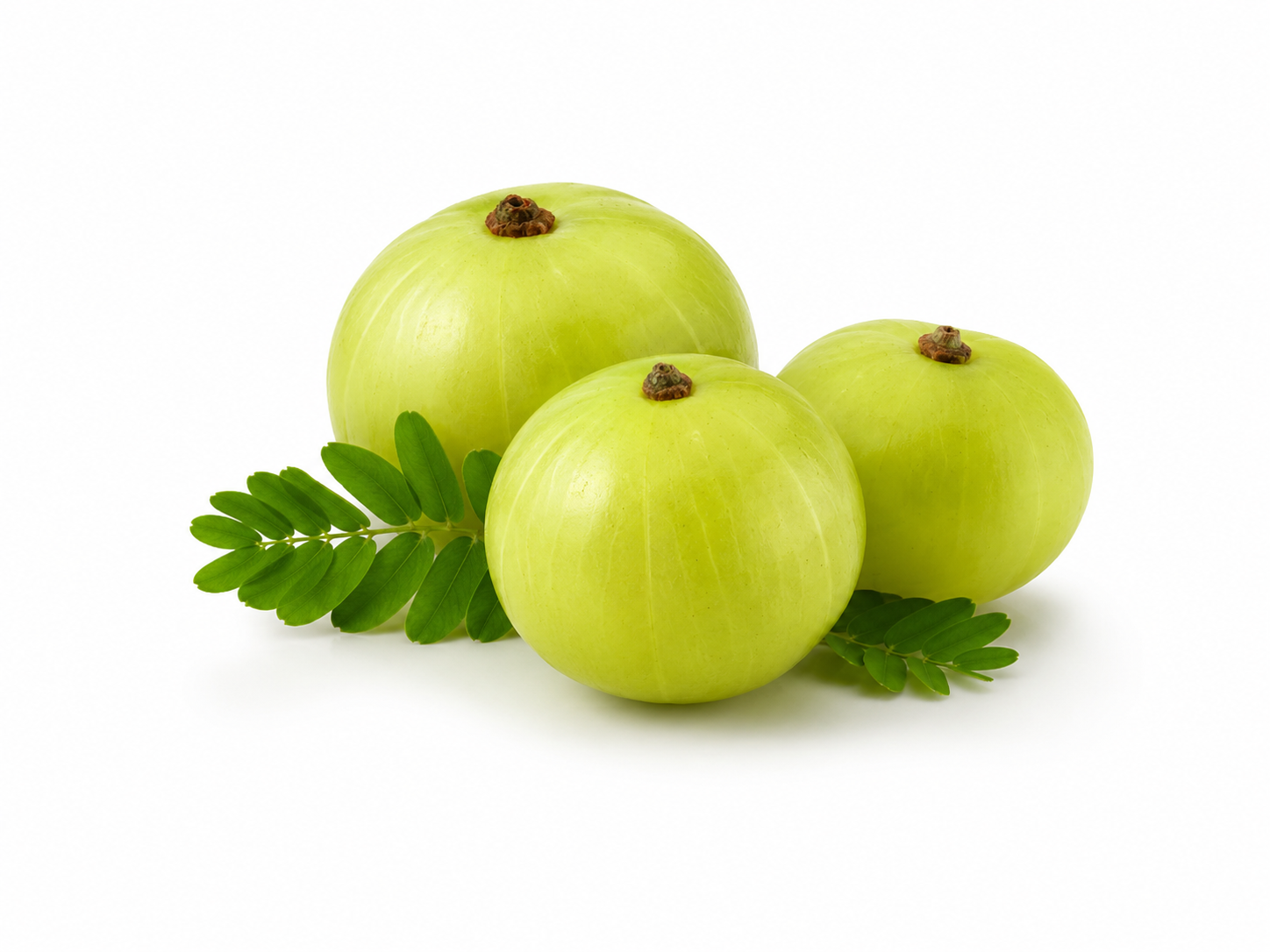 Amla